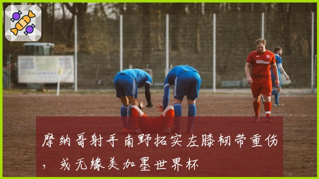 摩纳哥射手南野拓实左膝韧带重伤，或无缘美加墨世界杯